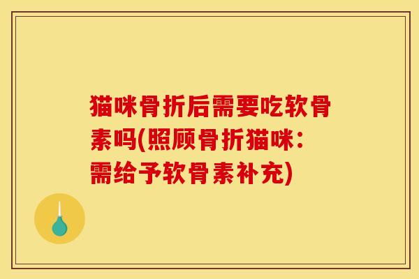 猫咪骨折后需要吃软骨素吗(照顾骨折猫咪：需给予软骨素补充)