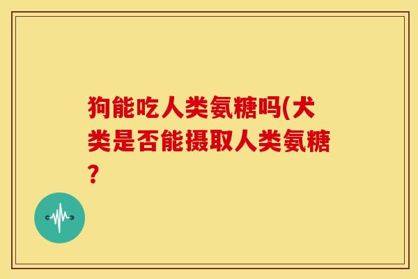 狗能吃人类氨糖吗(犬类是否能摄取人类氨糖？