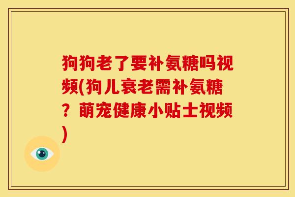 狗狗老了要补氨糖吗视频(狗儿衰老需补氨糖？萌宠健康小贴士视频)