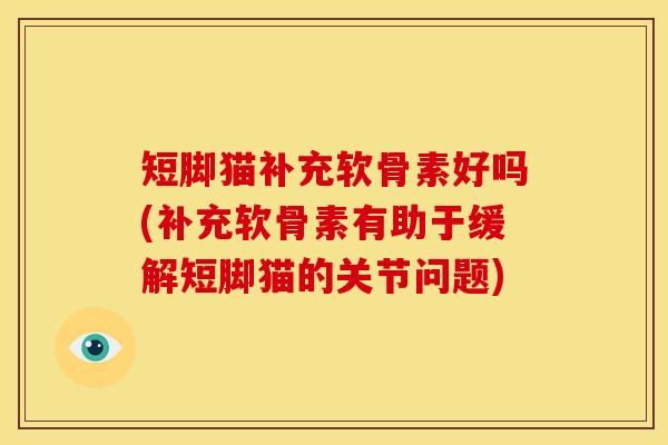 短脚猫补充软骨素好吗(补充软骨素有助于缓解短脚猫的关节问题)