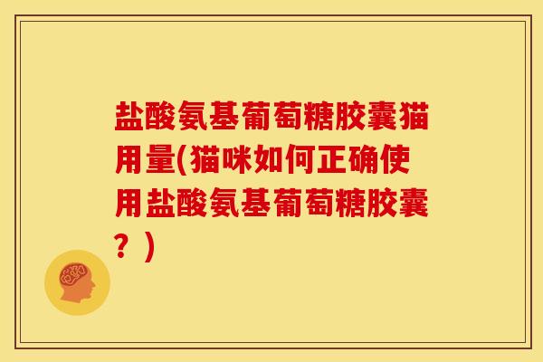 盐酸氨基葡萄糖胶囊猫用量(猫咪如何正确使用盐酸氨基葡萄糖胶囊？)