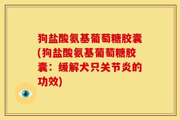 狗盐酸氨基葡萄糖胶囊(狗盐酸氨基葡萄糖胶囊：缓解犬只关节炎的功效)
