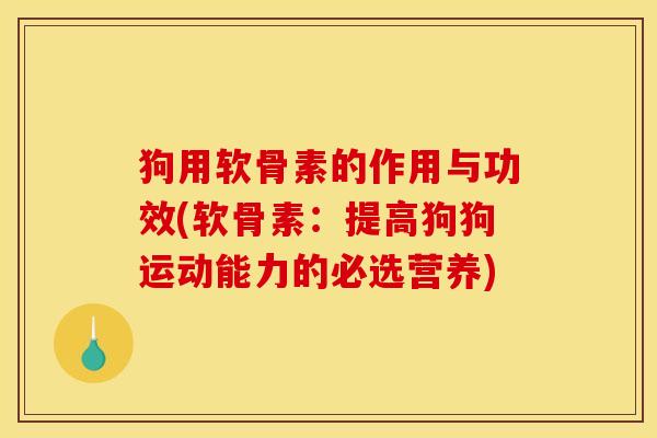 狗用软骨素的作用与功效(软骨素：提高狗狗运动能力的必选营养)