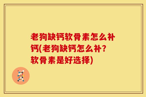 老狗缺钙软骨素怎么补钙(老狗缺钙怎么补？软骨素是好选择)