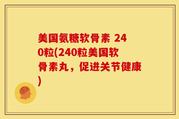 美国氨糖软骨素 240粒(240粒美国软骨素丸，促进关节健康)