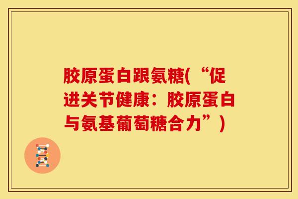 胶原蛋白跟氨糖(“促进关节健康:胶原蛋白与氨基葡萄糖合力”) 胶原蛋白跟氨糖(“促进关节健康:胶原蛋白与氨基葡萄糖合力”)