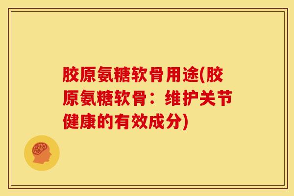胶原氨糖软骨用途(胶原氨糖软骨：维护关节健康的有效成分)