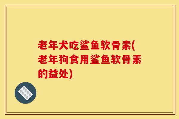 老年犬吃鲨鱼软骨素(老年狗食用鲨鱼软骨素的益处)