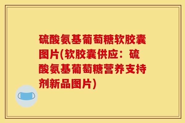 硫酸氨基葡萄糖软胶囊图片(软胶囊供应：硫酸氨基葡萄糖营养支持剂新品图片)
