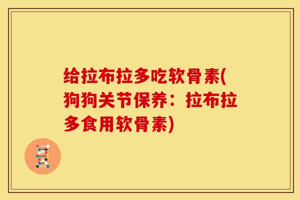 给拉布拉多吃软骨素(狗狗关节保养：拉布拉多食用软骨素)