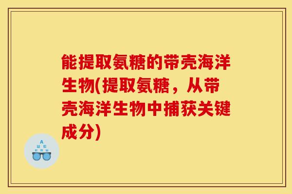 能提取氨糖的带壳海洋生物(提取氨糖，从带壳海洋生物中捕获关键成分)