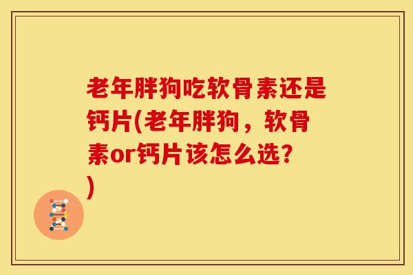 老年胖狗吃软骨素还是钙片(老年胖狗，软骨素or钙片该怎么选？)