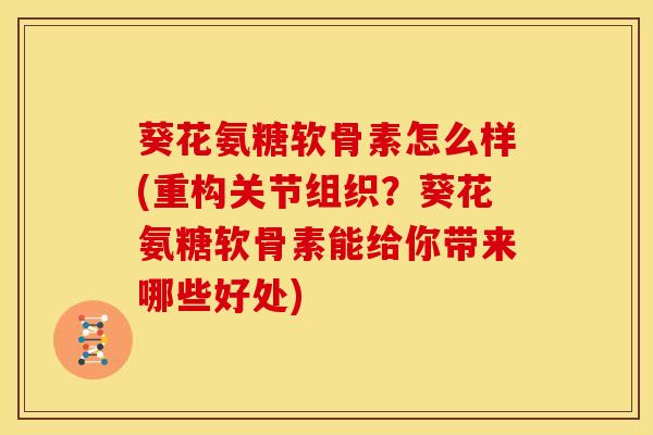 葵花氨糖软骨素怎么样(重构关节组织？葵花氨糖软骨素能给你带来哪些好处)