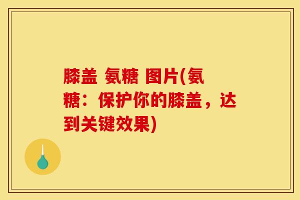 膝盖 氨糖 图片(氨糖：保护你的膝盖，达到关键效果)