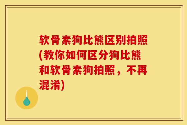 软骨素狗比熊区别拍照(教你如何区分狗比熊和软骨素狗拍照，不再混淆)