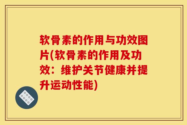 软骨素的作用与功效图片(软骨素的作用及功效：维护关节健康并提升运动性能)