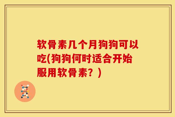 软骨素几个月狗狗可以吃(狗狗何时适合开始服用软骨素？)