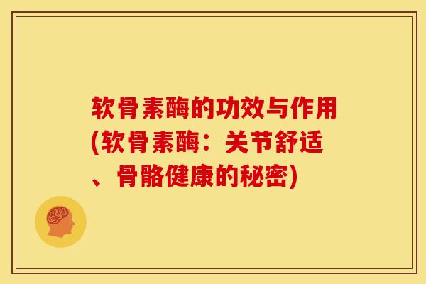 软骨素酶的功效与作用(软骨素酶：关节舒适、骨骼健康的秘密)