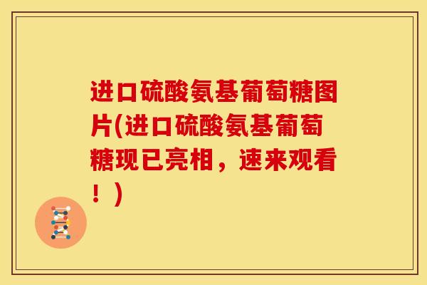进口硫酸氨基葡萄糖图片(进口硫酸氨基葡萄糖现已亮相，速来观看！)