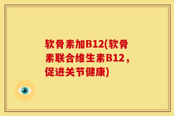 软骨素加B12(软骨素联合维生素B12，促进关节健康)