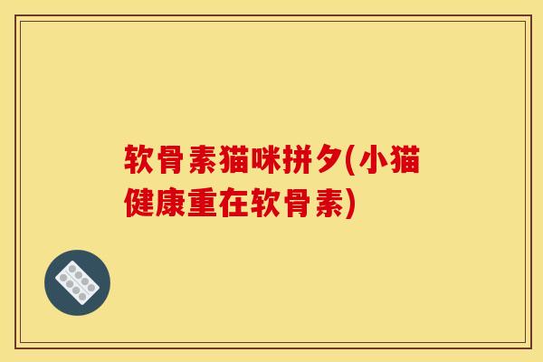 软骨素猫咪拼夕(小猫健康重在软骨素)