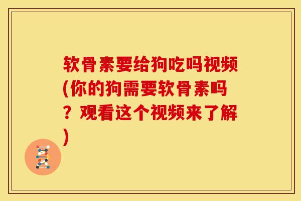 软骨素要给狗吃吗视频(你的狗需要软骨素吗?观看这个视频来了解) 软骨素要给狗吃吗视频(你的狗需要软骨素吗?观看这个视频来了解)