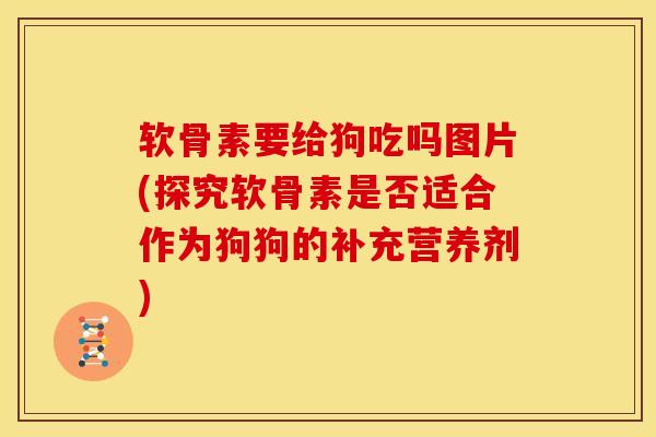 软骨素要给狗吃吗图片(探究软骨素是否适合作为狗狗的补充营养剂)