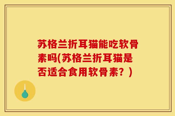 苏格兰折耳猫能吃软骨素吗(苏格兰折耳猫是否适合食用软骨素？)