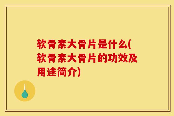 软骨素大骨片是什么(软骨素大骨片的功效及用途简介)