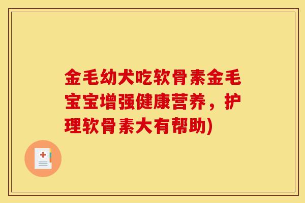 金毛幼犬吃软骨素金毛宝宝增强健康营养，护理软骨素大有帮助)