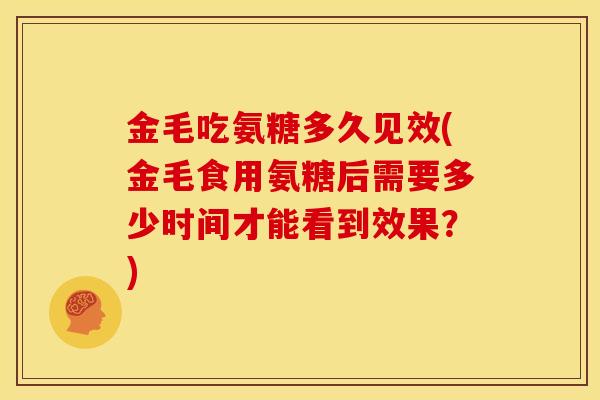金毛吃氨糖多久见效(金毛食用氨糖后需要多少时间才能看到效果？)
