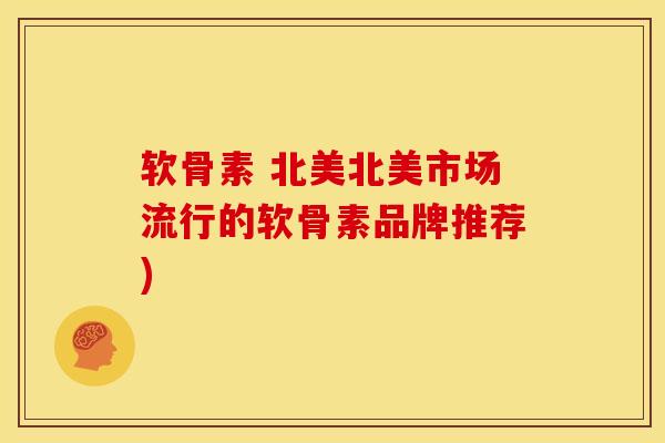 软骨素 北美北美市场流行的软骨素品牌推荐)