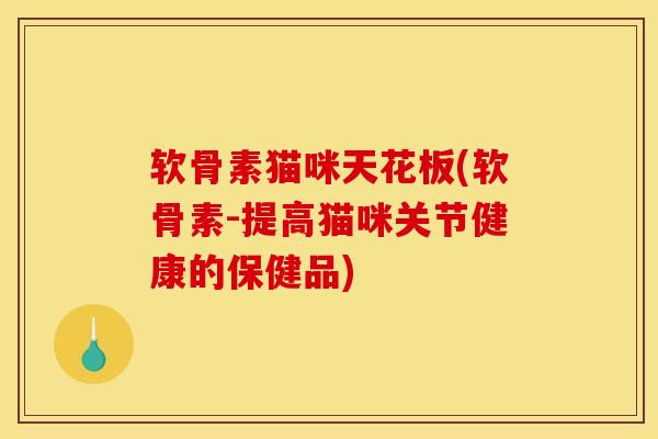 软骨素猫咪天花板(软骨素-提高猫咪关节健康的保健品)