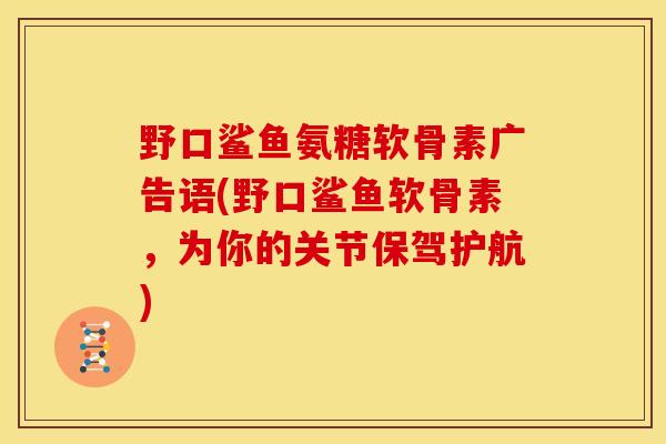 野口鲨鱼氨糖软骨素广告语(野口鲨鱼软骨素，为你的关节保驾护航)