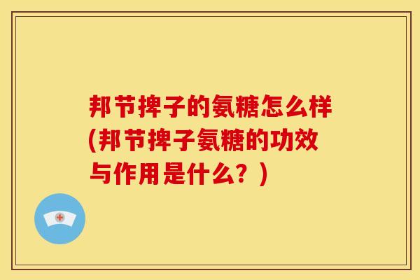 邦节捭子的氨糖怎么样(邦节捭子氨糖的功效与作用是什么？)