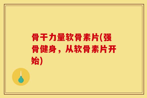 骨干力量软骨素片(强骨健身，从软骨素片开始)