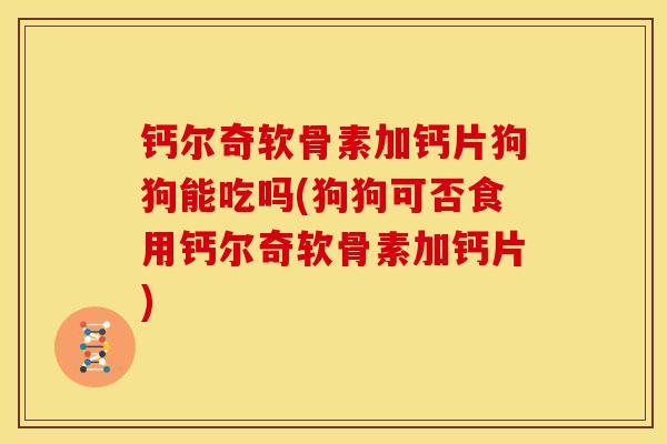 钙尔奇软骨素加钙片狗狗能吃吗(狗狗可否食用钙尔奇软骨素加钙片)