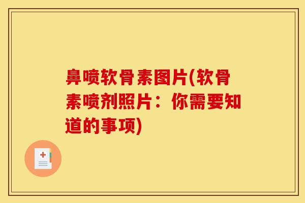 鼻喷软骨素图片(软骨素喷剂照片：你需要知道的事项)