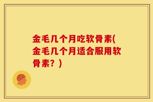 金毛几个月吃软骨素(金毛几个月适合服用软骨素？)