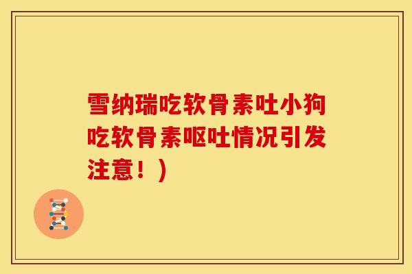 雪纳瑞吃软骨素吐小狗吃软骨素呕吐情况引发注意！)