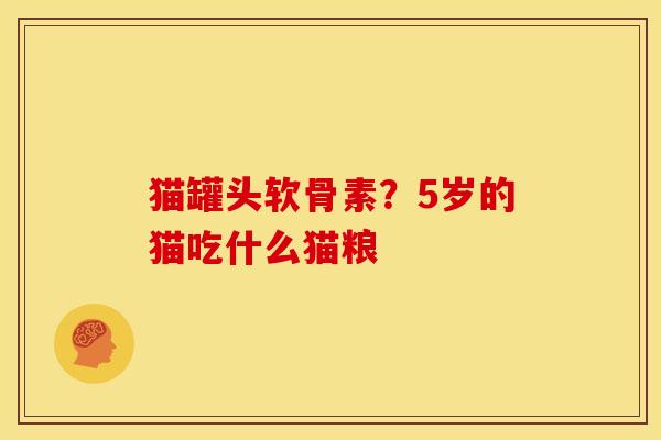 猫罐头软骨素？5岁的猫吃什么猫粮