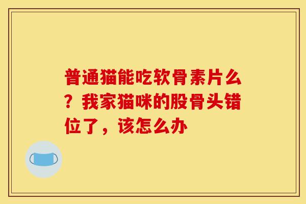 普通猫能吃软骨素片么？我家猫咪的股骨头错位了，该怎么办