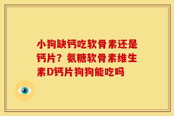 小狗缺钙吃软骨素还是钙片？氨糖软骨素维生素D钙片狗狗能吃吗