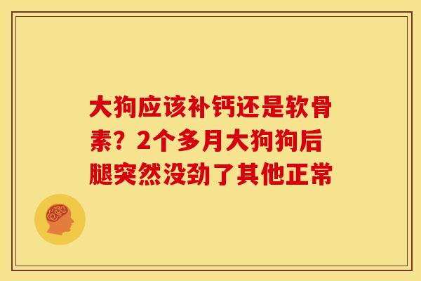 大狗应该补钙还是软骨素？2个多月大狗狗后腿突然没劲了其他正常