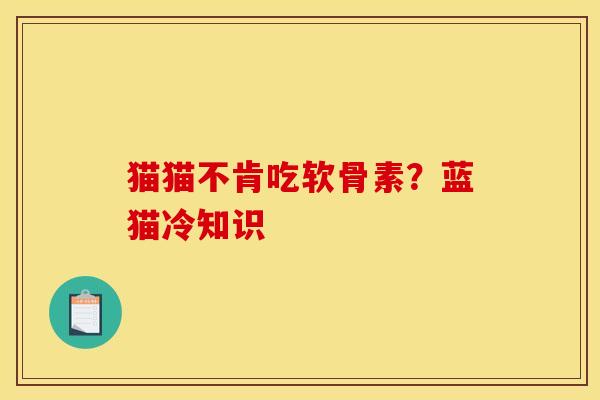 猫猫不肯吃软骨素？蓝猫冷知识