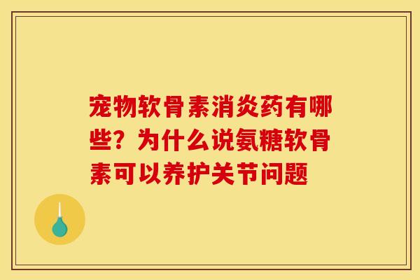 宠物软骨素消炎药有哪些？为什么说氨糖软骨素可以养护关节问题