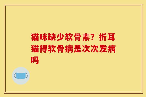 猫咪缺少软骨素？折耳猫得软骨病是次次发病吗