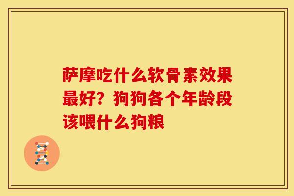 萨摩吃什么软骨素效果最好？狗狗各个年龄段该喂什么狗粮