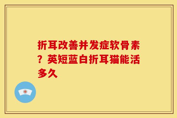 折耳改善并发症软骨素？英短蓝白折耳猫能活多久