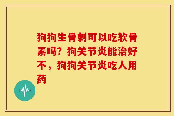 狗狗生骨刺可以吃软骨素吗？狗关节炎能治好不，狗狗关节炎吃人用药